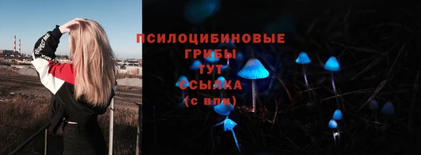 прущий лед Покровск