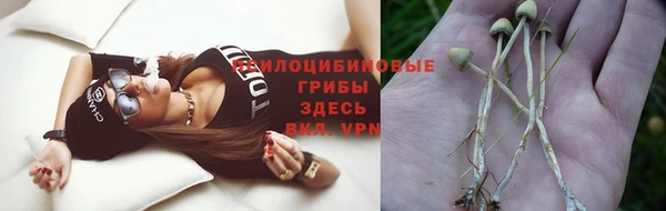 первитин Покров