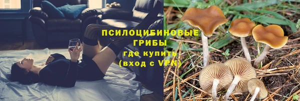 прущий лед Покровск