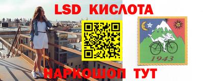 крисы Гатчина
