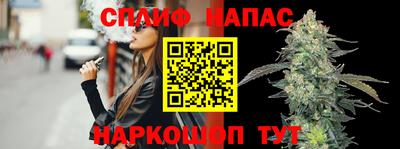 крисы Гатчина