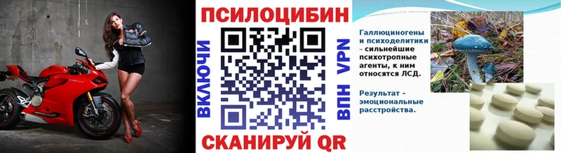 mega как войти  Алейск  Псилоцибиновые грибы Magic Shrooms  цены  