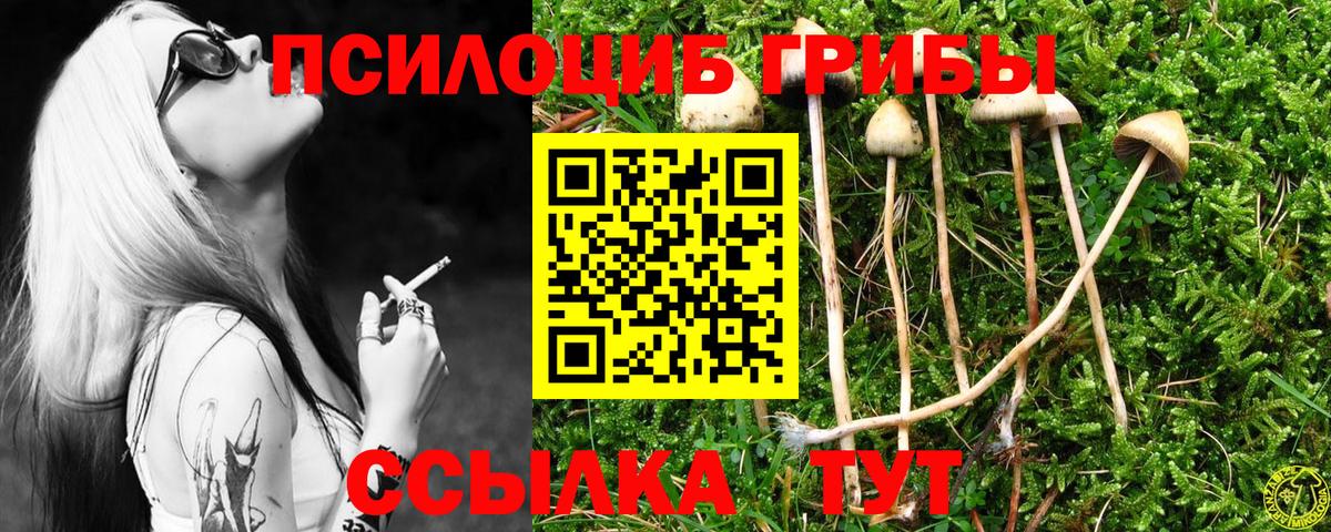 Псилоцибиновые грибы прущие грибы  Алейск  Галлюциногенные грибы MAGIC MUSHROOMS 