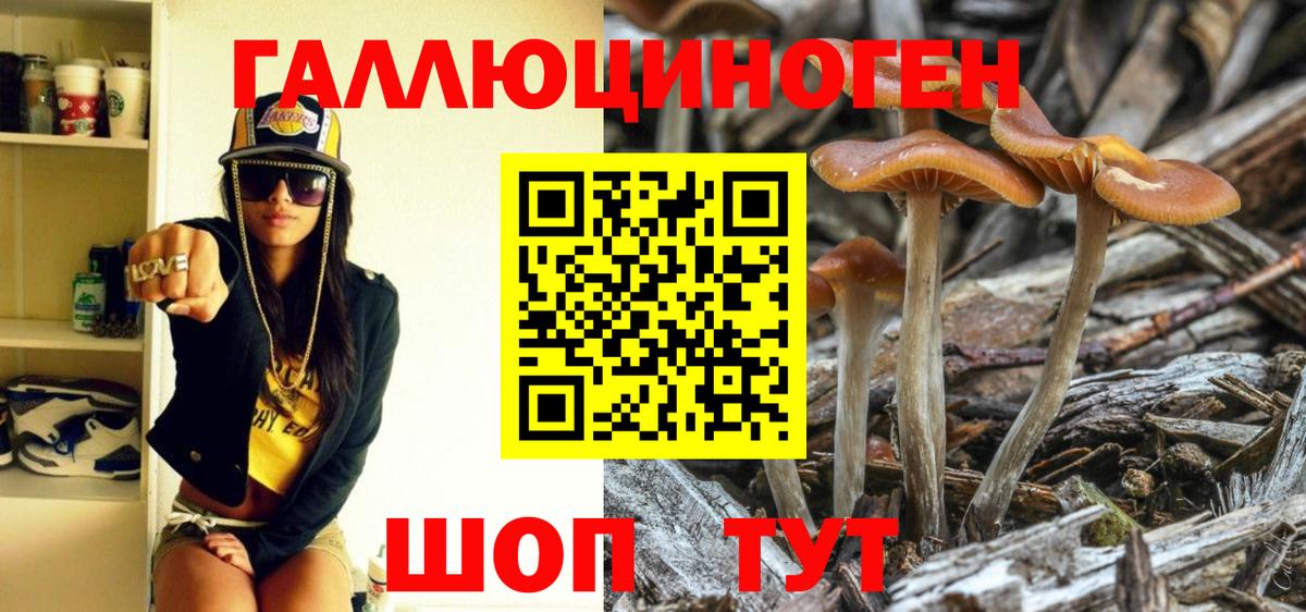 Гашиш  Бошки Шишки  Бошки Шишки  Cocaine  Alpha-PVP СОЛЬ кристаллы  Экстази  МЕФ кристаллы  LSD-25  КОКАИН  Алейск  Меф  