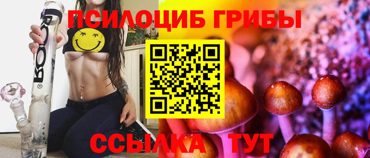 Алейск  Псилоцибиновые грибы MAGIC MUSHROOMS  Вход с VPN 
