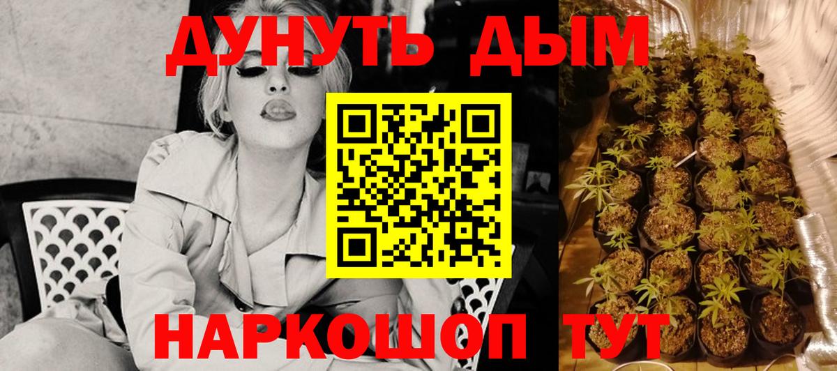 Каннабис SATIVA & INDICA Алейск